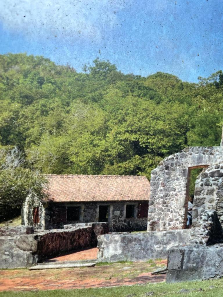 Location Saisonniere Vue Mer A Tartane La Trinité Dış mekan fotoğraf